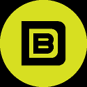 Bissell Design Studios Inc. Logo