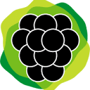 Blackberry Design Logo