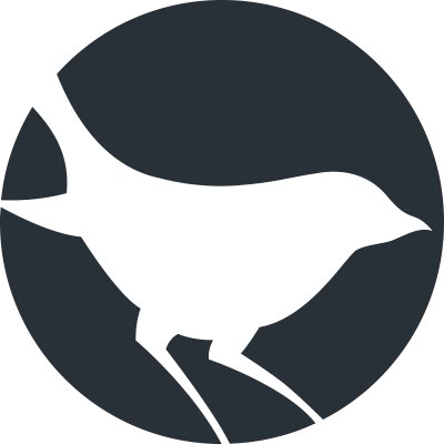 Blackbird Digital Logo