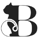 Black Cat Web Studio Logo