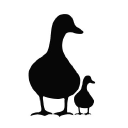 Black Duck Media Logo