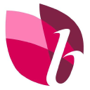 Blooming Color Inc Logo