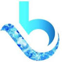 Blue Creek Digital LLC Logo