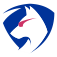 BlueDog Graphics Logo