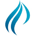 BlueFire Marketing & Consulting Firm, LLC Logo