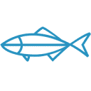 Bluefish Studio Logo