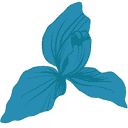 Blue Iris Marketing Logo