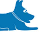Blue Lacy SEO Logo