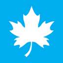 Blue Maple Digital Logo