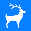 Blue Stag Logo