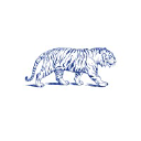 Blue Tiger Marketing Ltd Logo