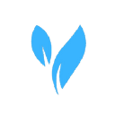 BlueVine Digital Marketing Solutions Logo