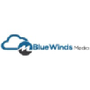 Blue Winds Media Logo