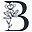 BlÅµm Creative Ltd Logo