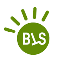 Boston WorldTech Solutions.Inc Logo
