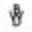 Boxwell Web Design logo