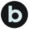 Brandevi Logo