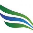 Brand Flights Logo