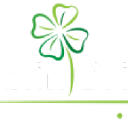Dublin Bridge Street District Logo