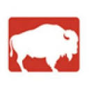 Buffalo Design Group Inc. Logo