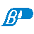 Burtnik Printing Inc Logo