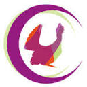 Capercaillie Communications Logo