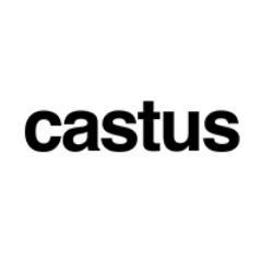 Castus Web Design Logo