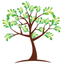 Cedar Design logo