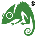 Chameleon Web Services Logo