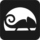 Chameleon Creative Studio Logo
