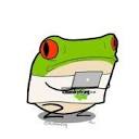 Chunky Frog Design Ltd Logo
