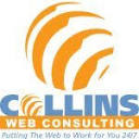 Ebbswebs & Consulting Services LLC Logo