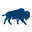 Coolbison Logo