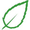 Mint Web Design logo