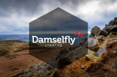 Damselfly Creative Logo
