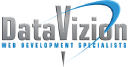 DataVizion Logo