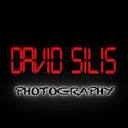 David Silis Logo