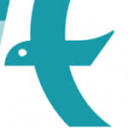 Dayweb Tech Support LLC Logo