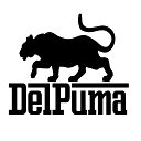Delpuma Consulting Group Logo