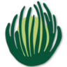 Desmo Marketing Logo