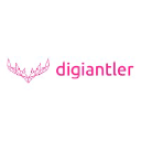 DigiAntler Web Design Logo