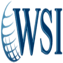 Digital Dynamics WSI Logo