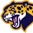 Digital Leopards Logo