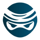 Digital Ninja 9 Logo