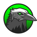 Digital Raven Logo