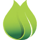 Digital Thrive Logo