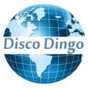 Disco Dingo LLC Logo