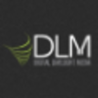 Digital Limelight Media, LLC Logo