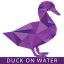 Duck On Water - Web Designers Logo