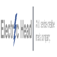 Electric Head Logo
